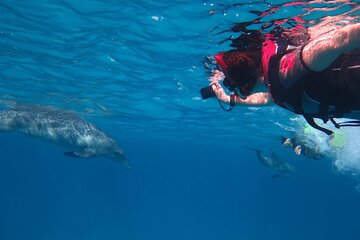 orange-bay-all-day-trip-with-snorkeling tour image 4