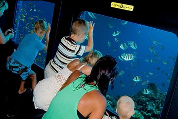 hurghada-royal-seascope-submarine-cruise-with-snorkel-stop tour image 3