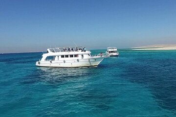swim-with-dolphins-at-samadai-reef-sea-trip-lunch-marsa-alam tour image 3