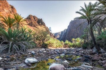 private-safari-wadi-qunai-and-three-pools-tour-with-pickup tour image 1