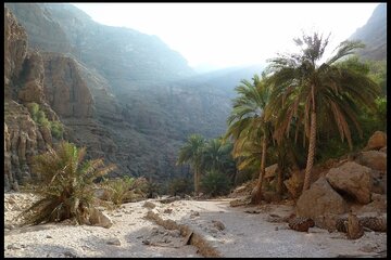 private-safari-wadi-qunai-and-three-pools-tour-with-pickup tour image 4