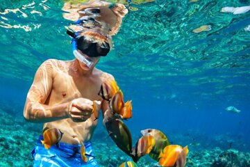 tiran-island-snorkeling-excursion tour image 4