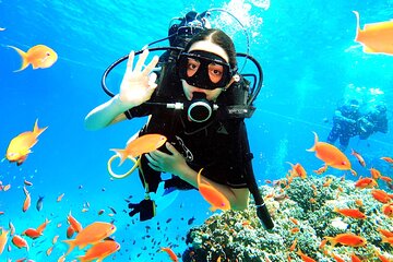 padi-open-water-diver-course tour image 2