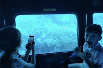 nefertari-seascope-adventure-boat-trip-with-transfer-marsa-alam tour image 4