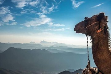 mount-sinai-climb-and-private-st-catherine-tour tour image 4