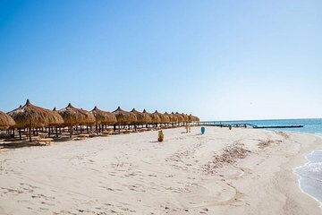 vip-speedboat-transfer-taxi-to-hula-hula-island-hurghada tour image 4