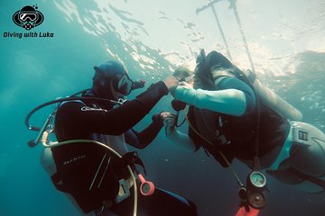 full-day-diving-with-private-guide-lunch-drinks-transportation tour image 1