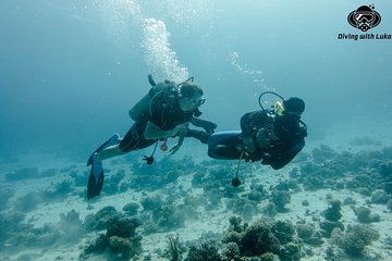 full-day-diving-with-private-guide-lunch-drinks-transportation tour image 2