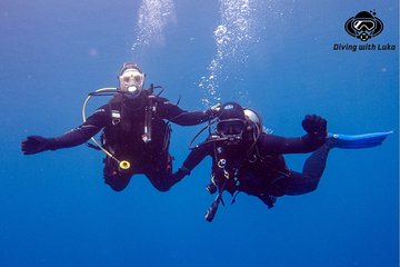 full-day-diving-with-private-guide-lunch-drinks-transportation tour image 4