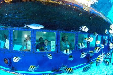 conquest-semi-submarine-snorkeling-with-transfer-hurghada tour image 3