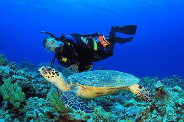scuba-diving-trip-with-transfers-lunch-hurghada tour image 1