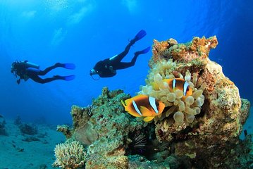 scuba-diving-trip-with-transfers-lunch-hurghada tour image 2