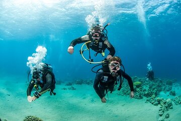 scuba-diving-trip-with-transfers-lunch-hurghada tour image 4