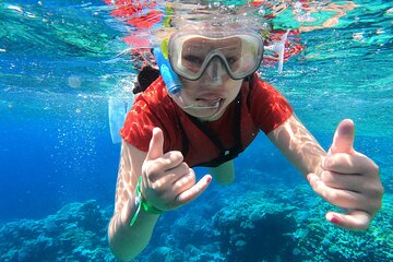 eden-island-a-luxury-snorkeling-sea-trip tour image 1