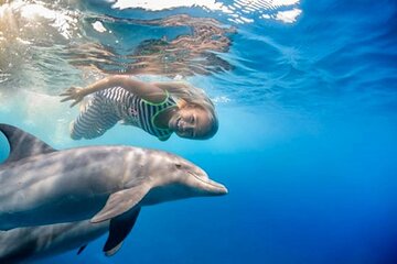 dolphin-house-royal-sea-trip-with-lunch-water-sport-hurghada tour image 1