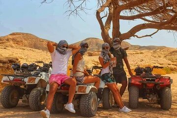 marsa-alam-super-safari-quad-jeep-camel-and-party-with-dinner tour image 2