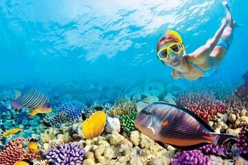 snorkeling-adventure-at-hamata-national-park-marsa-alam tour image 1