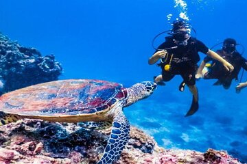 orange-bay-snorkeling-from-hurghada-include-lunch-and-equipment tour image 3