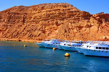 orange-bay-snorkeling-from-hurghada-include-lunch-and-equipment tour image 4