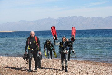 private-day-tour-of-ras-mohammed-national-park-with-snorkeling tour image 4