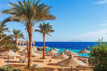 departure-transfer-from-sharm-el-sheikh-to-airport-ssh-in-private-carvan tour image 4