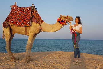 one-hour-camel-ride-at-amazing-desert-with-transfer-sharm-el-sheikh tour image 1