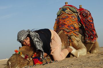 one-hour-camel-ride-at-amazing-desert-with-transfer-sharm-el-sheikh tour image 4