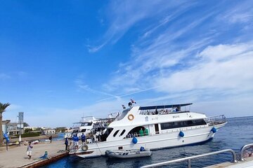 2-dives-a-comfy-boat-for-certified-divers-of-hurghada-with-lunch tour image 1