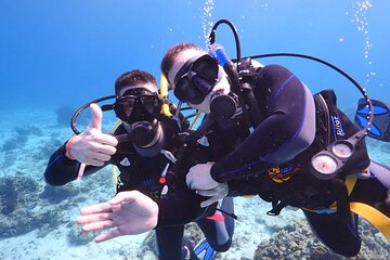 2-dives-a-comfy-boat-for-certified-divers-of-hurghada-with-lunch tour image 4
