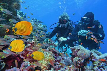 diving-and-visiting-giftun-island-with-snorkeling-boat-trip tour image 1