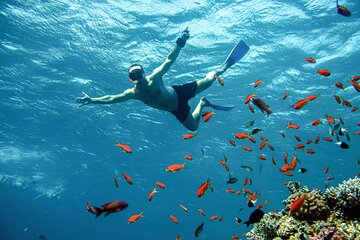 diving-and-visiting-giftun-island-with-snorkeling-boat-trip tour image 2