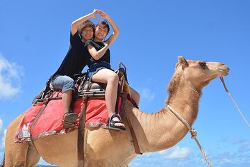 3-hours-camel-riding-desert-and-beach-with-transfer-in-marsa-alam tour image 2