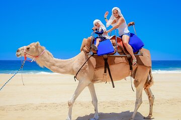 3-hours-camel-riding-desert-and-beach-with-transfer-in-marsa-alam tour image 4