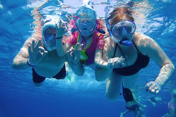 swim-with-dolphins-in-satayeh-reef-snorkel-sea-excursion-marsa-alam tour image 3