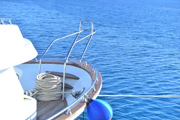 swim-with-dolphins-in-satayeh-reef-snorkel-sea-excursion-marsa-alam tour image 4