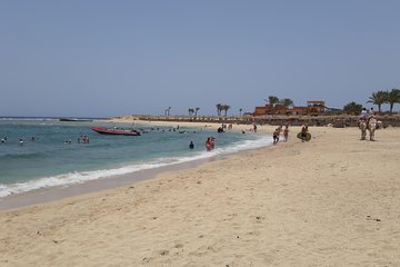 turtles-bay-swimming-with-turtles-hurghada-marsa-alam tour image 1
