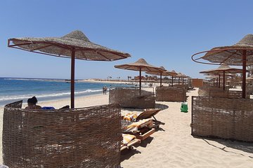 turtles-bay-swimming-with-turtles-hurghada-marsa-alam tour image 2