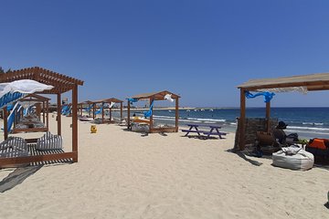 turtles-bay-swimming-with-turtles-hurghada-marsa-alam tour image 3
