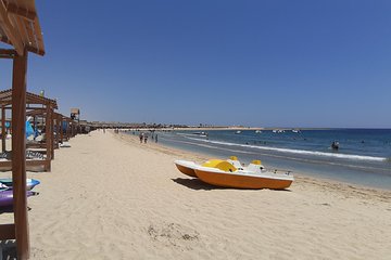 turtles-bay-swimming-with-turtles-hurghada-marsa-alam tour image 4