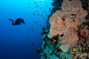 full-day-paradise-island-excursion-with-included-snorkeling tour image 2