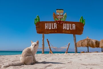 hula-hula-island-snorkeling-full-day-boat-trip-with-lunch tour image 1