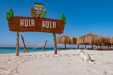 hula-hula-island-snorkeling-full-day-boat-trip-with-lunch tour image 4