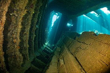 scuba-diving-trip-in-el-gouna-two-dives tour image 4