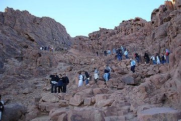 mount-sinai-climb-and-st-catherine-tour-from-sharm-el-sheikh tour image 2
