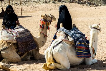 desert-spider-car-buggy-experience-with-transfer-marsa-alam tour image 2