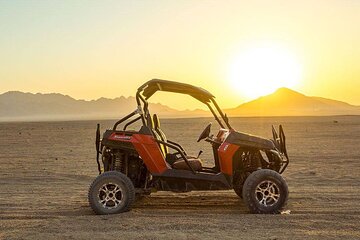 desert-spider-car-buggy-experience-with-transfer-marsa-alam tour image 3