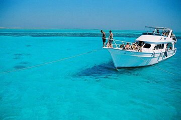 private-boat-to-magawish-island-with-lunch-and-transfer-hurghada tour image 2