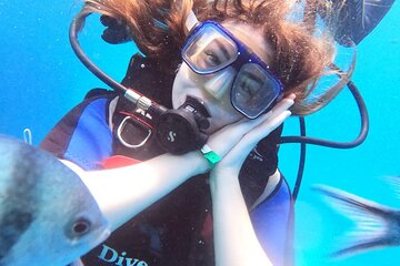 intro-diving-beginner-and-discover-red-sea-underwater tour image 2
