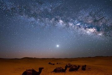 safari-jeep-star-watching-with-camel-ride-and-dinner-hurghada tour image 2