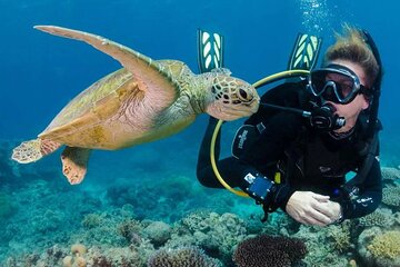 tiran-island-snorkeling-diving-with-lunch-sharm-el-sheikh tour image 1